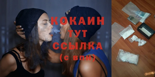 бошки Каменка