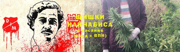 Альфа ПВП Карпинск